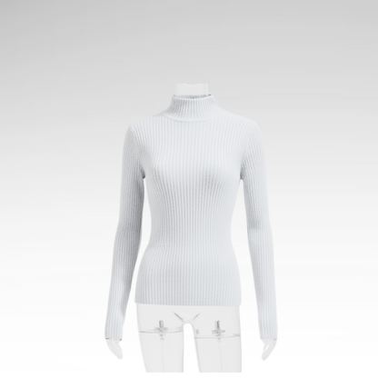 Minimalist Pullover Turtleneck Knit Sweater