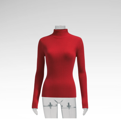 Minimalist Pullover Turtleneck Knit Sweater